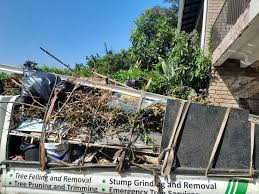 Best Property Management Cleanouts  in Brush, CO